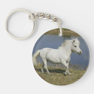 Cheval miniature fonctionnant près de l'eau