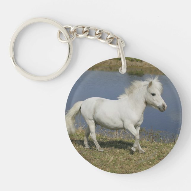 Cheval miniature fonctionnant près de l'eau (Devant)
