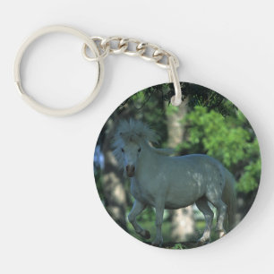Cheval miniature se tenant dans les arbres