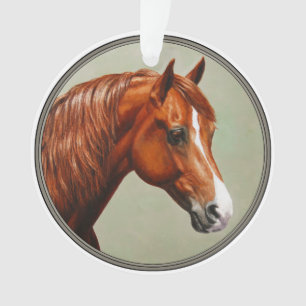 Cheval Morgan de châtaignes