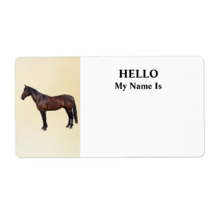 Cheval Morgan de profil