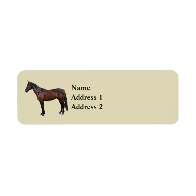 Cheval Morgan de profil (Devant)