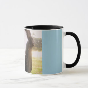 Cheval Mug