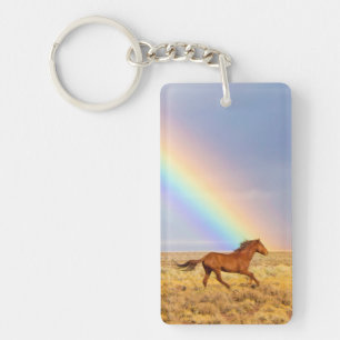 Cheval Mustang sauvage et arc-en-ciel
