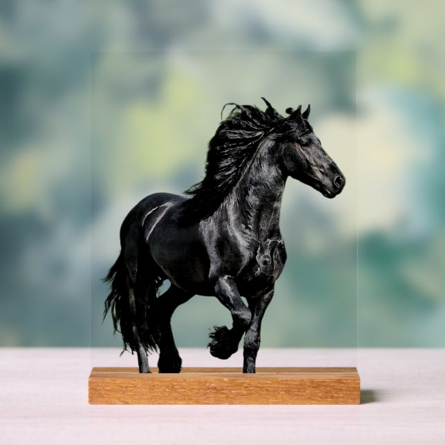 Cheval noir (Neutre)