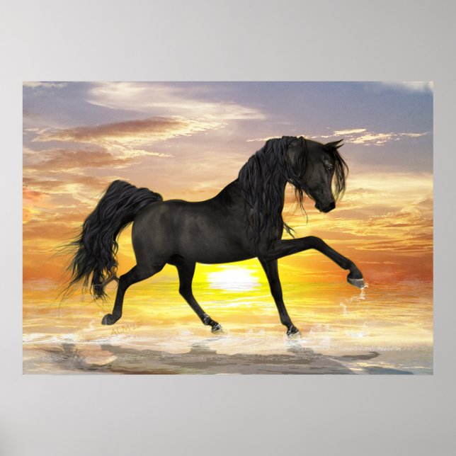 Cheval noir 28" x 20", Poster de valeur (Matte) (Devant)