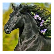 cheval noir crinière fleurie, affiche Papier (mat)