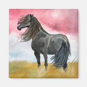 Cheval noir dans Field Magnet