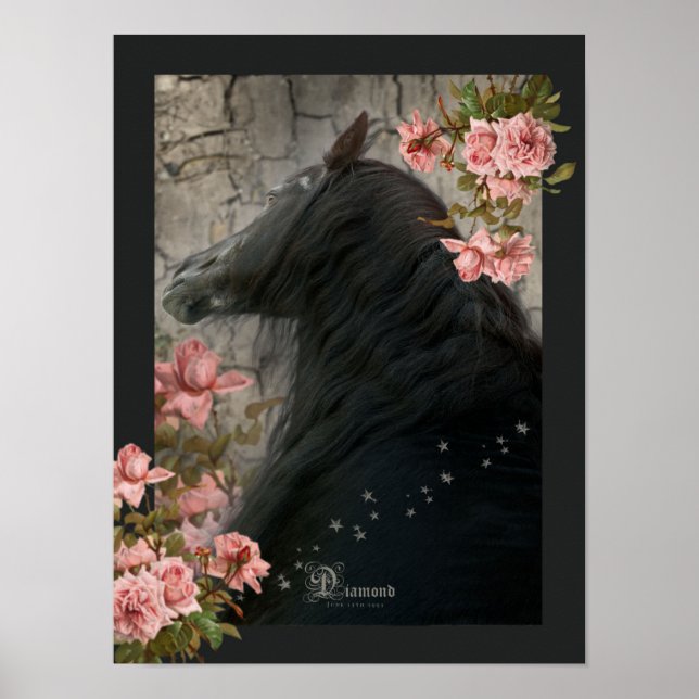 Cheval noir - Poster (Devant)