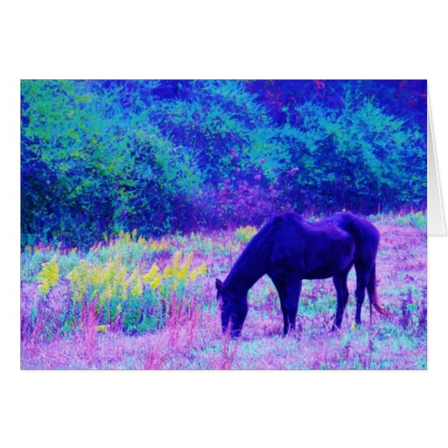 Cheval noir violet dans le champ Arc-en-ciel (Devant horizontal)