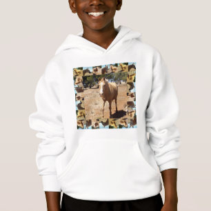 Cheval Palomino Bordée De Chevaux Palomino,
