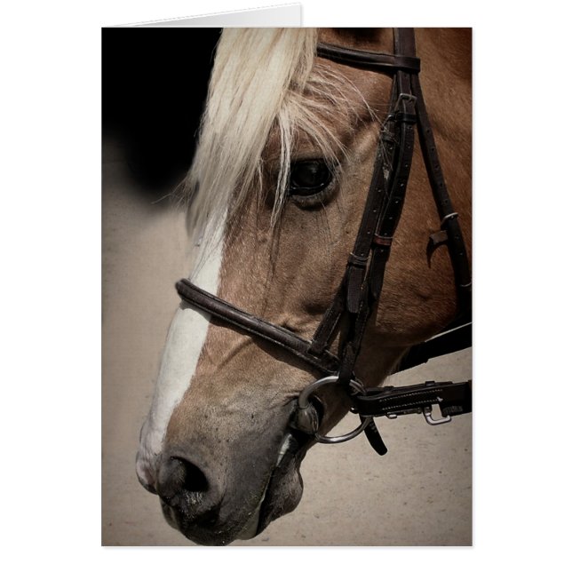 Cheval Palomino en Bridle (Devant)
