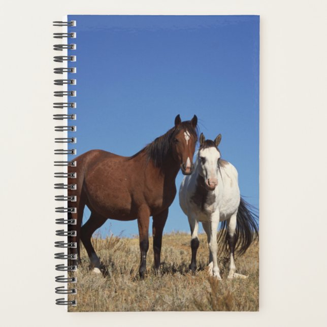 Cheval Photo Equine Buddies (Devant)