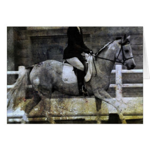 Cheval Pinto Dressage