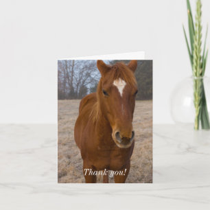 Cheval Pose Carte de remerciements