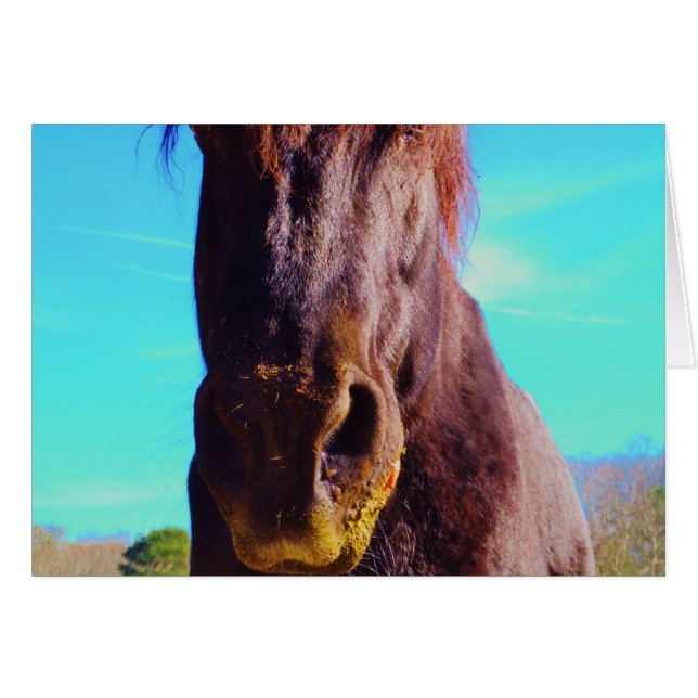 Cheval pourpre avec Bouche verte (Devant horizontal)