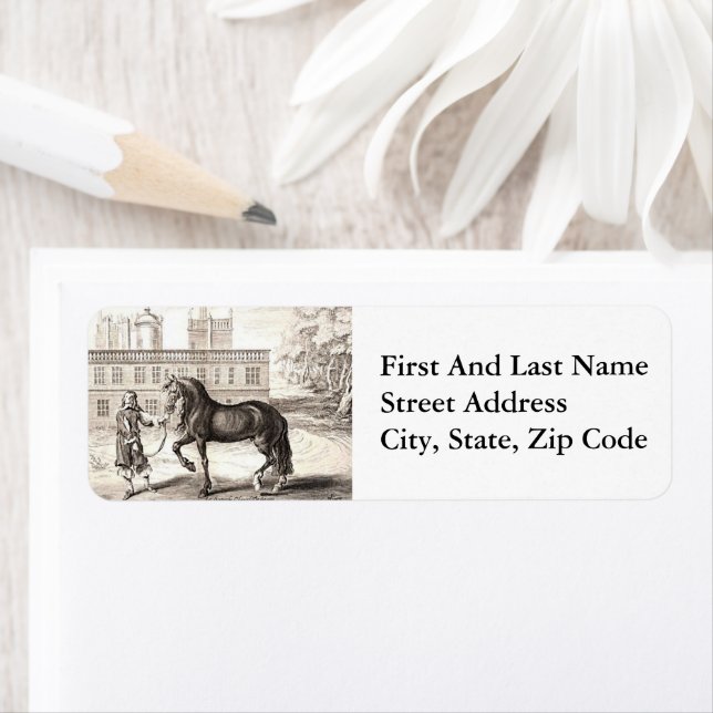 Cheval PRE andalou - Gravure espagnole Vintage (En situation)