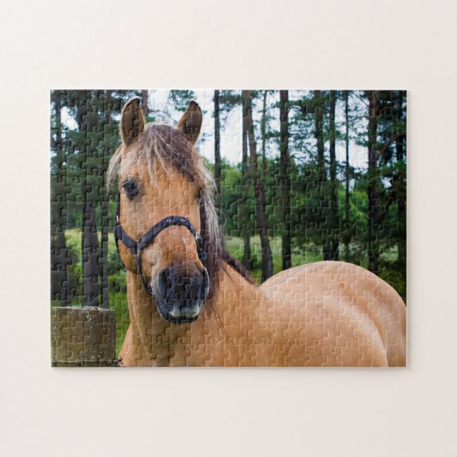 Cheval puzzle (Horizontal)