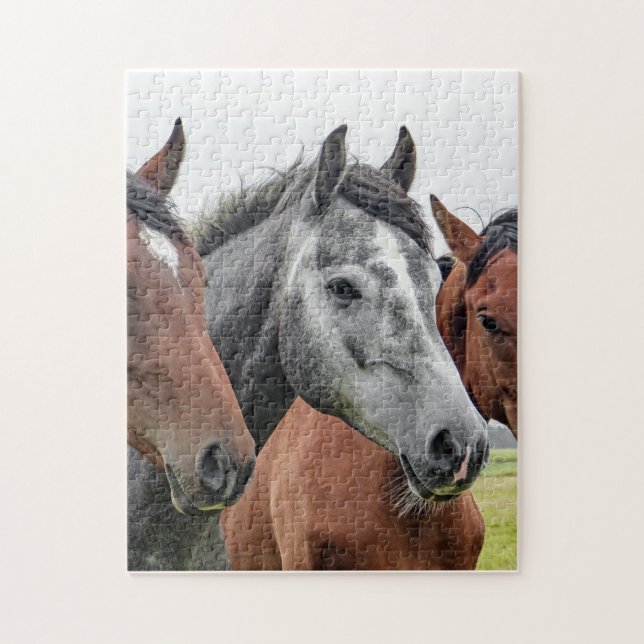 Cheval Puzzle (Vertical)