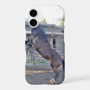 Cheval qui se cabre 1