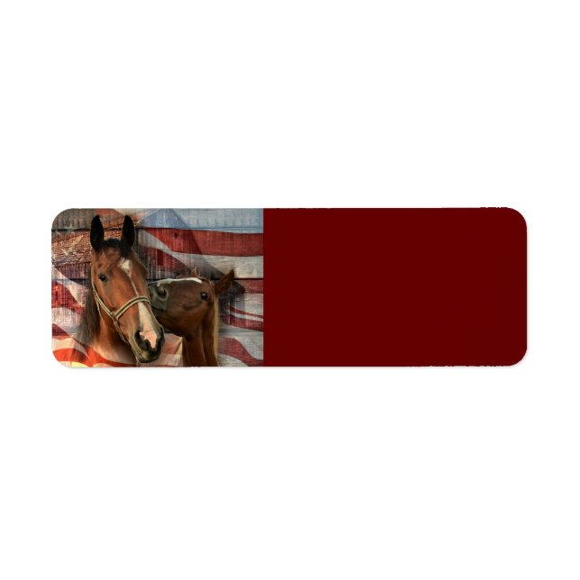 Cheval Rustic Barne drapeau américain (Devant)