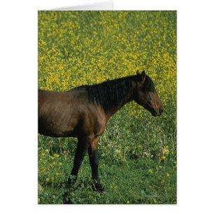 Cheval sauvage de mustang se tenant en fleurs