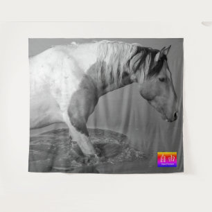 CHEVAL SAUVAGE D'UTAH PINTO À LA Tapisserie DE TRO