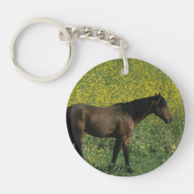 Cheval sauvage Mustang debout en fleurs (Devant)