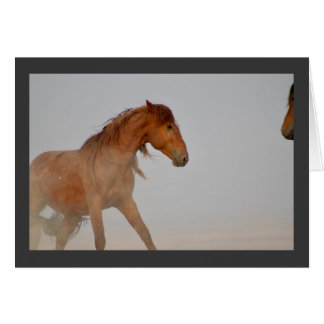 CHEVAL SAUVAGE ROUGE DE L'UTAH DANS LE DÉSERT DE L
