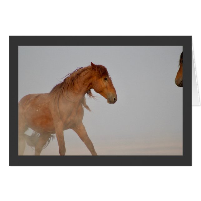 CHEVAL SAUVAGE ROUGE DE L'UTAH DANS LE DÉSERT DE L (Devant horizontal)