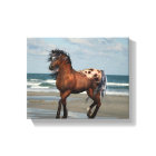 Cheval Sauvage Sur La Plage Toile Imprimer