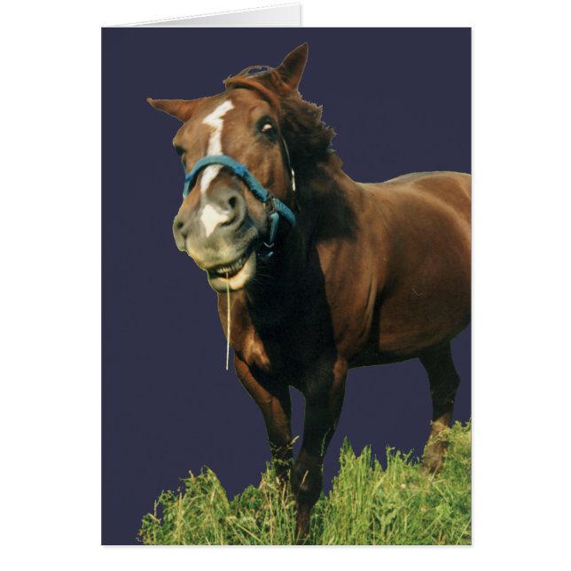 Cheval souriant (Devant)