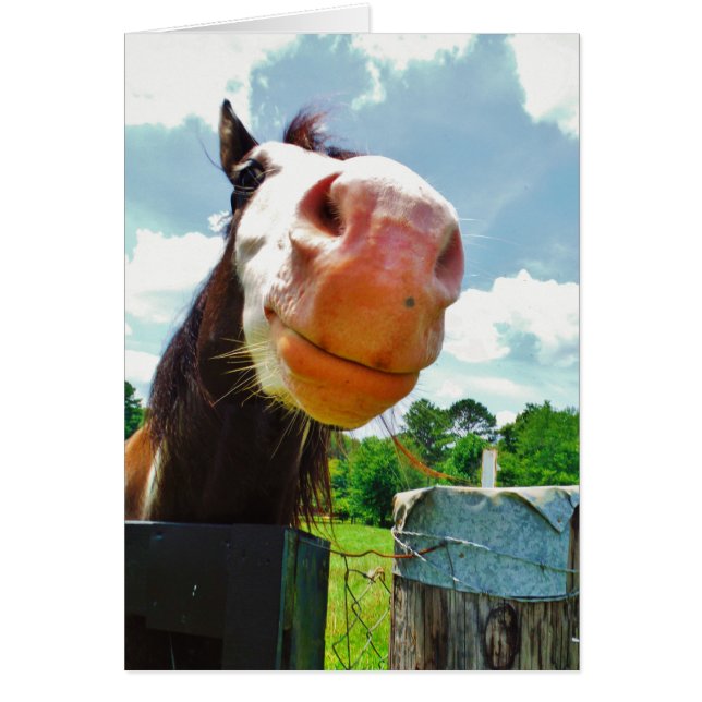 Cheval souriant (Devant)