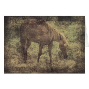 Cheval Souvenirs Grunge