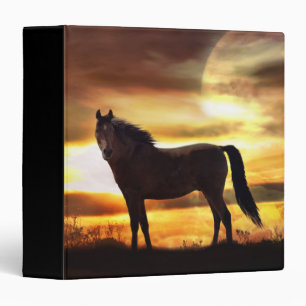 Cheval surréaliste et Classeur de lune