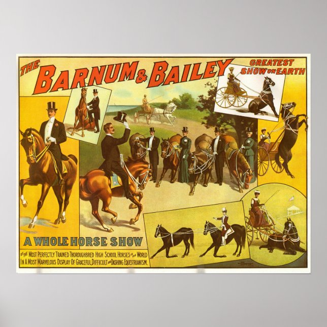 Cheval Thoroughbred Montrer Poster du Cirque (Devant)