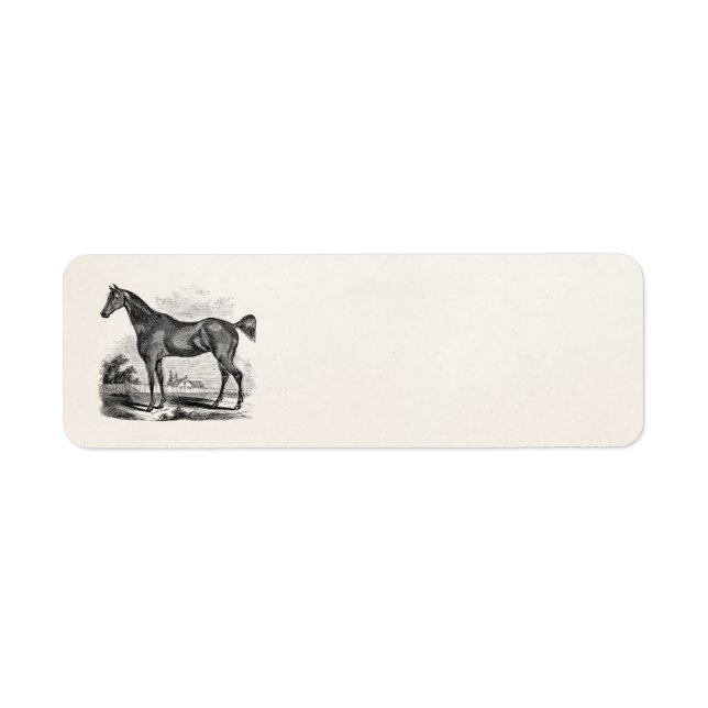 Cheval Thoroughbred vintage équestre personnalisé (Devant)