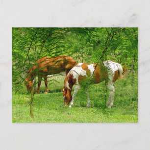 Cheval Thru Feuille Modèle de carte postale person
