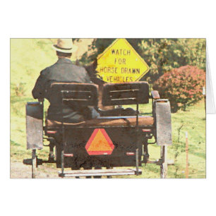 Cheval tiré Vechicles, Cheval Amish et Buggy