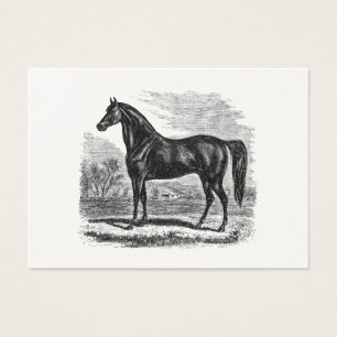 Cheval vintage de 1800s - modèle de cavalier de