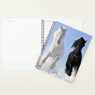 Chevaux