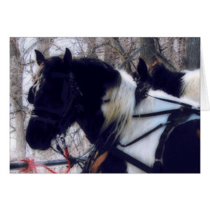 Chevaux à bascule Pinto