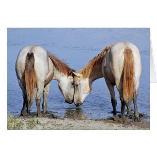CHEVAUX AMOUREUX