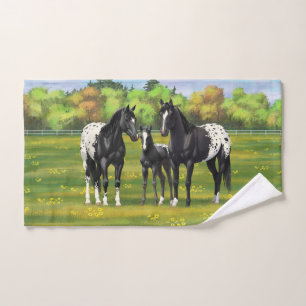 Chevaux Appaloosa Noir Dans Les Pâturages D'Été
