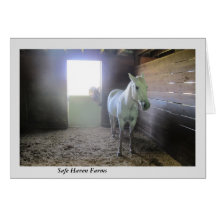 Chevaux au repos aux fermes d'asile sûr