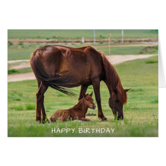 Chevaux Bonne Carte d'Anniversaire (Devant horizontal)