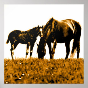 Chevaux Brown Pop Art Carré Poster