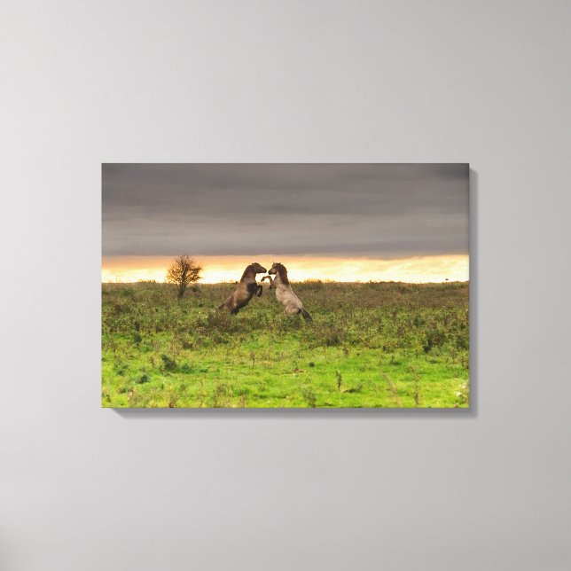 Chevaux cabrés sur toile (Recto)