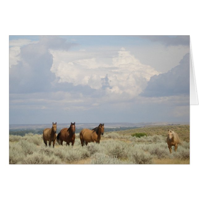 Chevaux dans l'Ouest américain (Devant Horizontal)