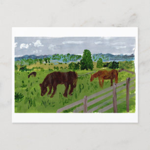 Chevaux dans un joli pâturage carte postale